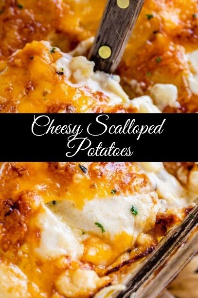 Cheesy Scalloped Potatoes recipe Easy Cheesy Scalloped Potatoes, Scalloped Potato Casserole, Slow Cooker Scalloped Potatoes, Cheesy Scalloped Potatoes Recipe, Onion Casserole, Scalloped Potatoes Easy, Cheesy Scalloped Potatoes, Scalloped Potatoes Recipe, Scalloped Potatoes And Ham