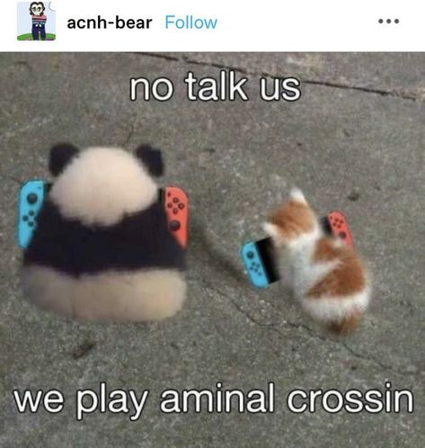 Ac New Leaf, Animal Crossing Funny, Animal Crossing Memes, Animal Crossing Characters, New Animal Crossing, Animal Crossing Game, Cute Memes, Wholesome Memes, Oui Oui