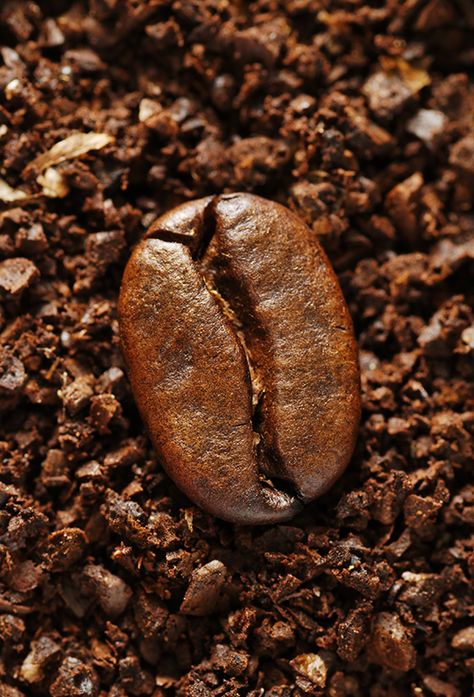 Organic Coffee Shop, Different Kinds Of Coffee, Beautiful Darkness, Organo Gold, Coffee Tips, Coffee Board, Coffee Roastery, Ground Coffee Beans, Video Message