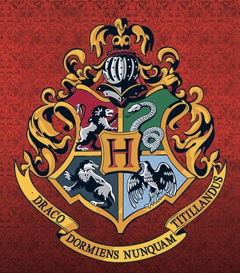 Hogwarts divide sus estudiantes en cuatro casas, Gryffindor,Ravenclaw,Hufflepuff y Slytherin. Los estudiantes son asignados a las casas por el sombrero seleccionador. Harry Potter Rug, Large Square Rugs, Hogwarts Emblem, Harry Potter Themed Room, Harry Potter Logo, Cumpleaños Harry Potter, Art Harry Potter, Potters House, Harry Potter Merchandise