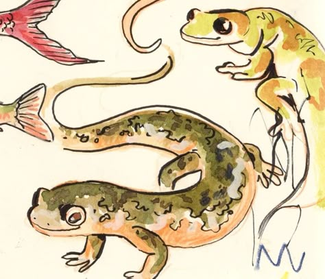 Just some silly salamanders 🦎 #sketchbook #illustration #illust #sketching #watercolour #salamander #tombow #royaltalens Salamander Illustration, Salamander Drawing, Birthday Sketches, Salamander Tattoo, Doodle Bops, Thumbnails Ideas, Artbook Design, Canis Major, Salamanders