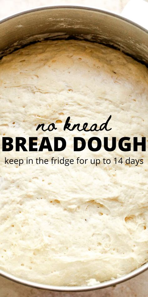 A very simple dough that can be stirred together in minutes, stored in the refrigerator for up to two weeks, and used to make dinner rolls, bread, and more! #noknead #bread #dinnerrolls 5 Minute Bread Dough, Easy Bread Dough Recipe Simple, No Knead Refrigerator Bread Dough, Bread Dough Recipe Easy, No Knead Overnight Bread, Bread Overnight Rise, Refrigerator Sourdough Bread, Over Night Bread Dough, Freezer Bread Dough