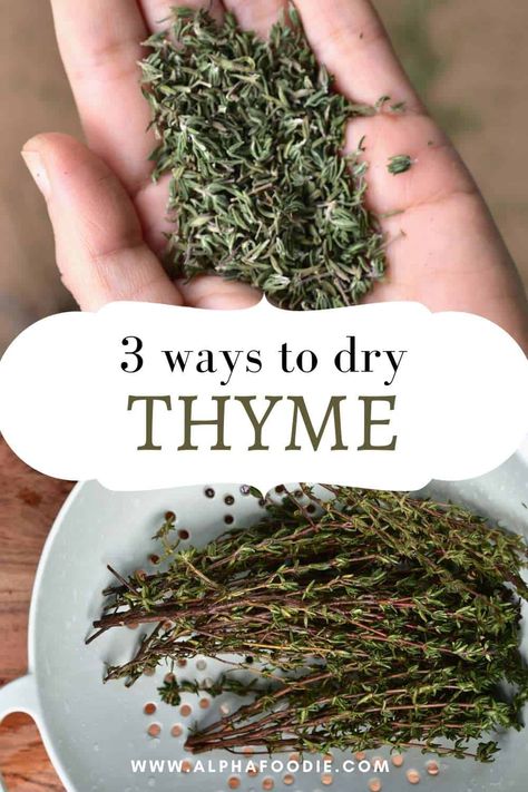 How to dry thyme with one of three methods: in the oven, in a dehydrator, or naturally. As well as how to store, convert, and use the dried thyme! Drying Thyme, Cooking With Herbs, Preserve Fresh Herbs, Drying Fresh Herbs, Preserving Herbs, Harvesting Herbs, Dried Thyme, Herb Recipes, Homemade Spices