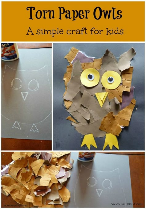 This torn paper owl craft is a great art project for kids. And seriously, who doesn't love owls? Forest Projects For Kids, Owl Preschool, Owl Activities, Owl Babies, Owl Craft, Art Project For Kids, Fall Art Projects, Paper Owls, Project For Kids