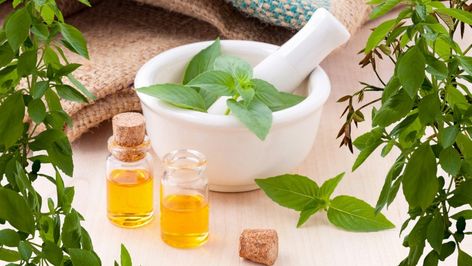 How to make a natural mosquito repellent for your next trip Magia Das Ervas, Oregano Oil, Essential Oils For Hair, Herbal Magic, Oil Benefits, Best Essential Oils, Hot Flashes, Peppermint Essential Oil, Sciatica