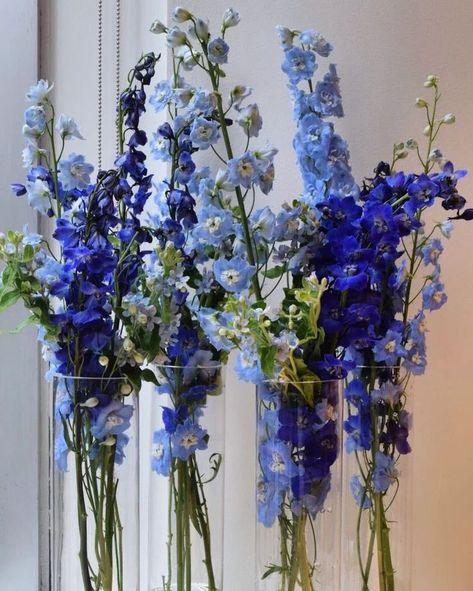 Larkspur Flower Bouquet, Larkspur Wedding Bouquet, Larkspur Bouquet, Blue Delphinium Wedding, Blue Delphinium Bouquet, Dark Blue Delphinium, Delphinium Wedding, Delphinium Flower, Blue Flower Arrangements