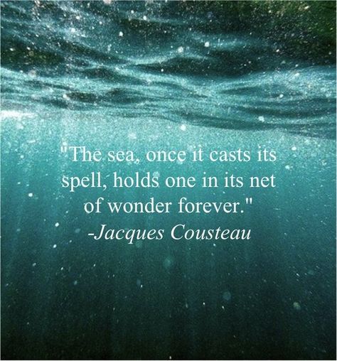 Biology Quotes, Biology Quote, Paolo Coelho, Paulo Coelho Quotes, Let It Shine, Bio Quotes, Marine Biology, Feel It, Quotes About Strength