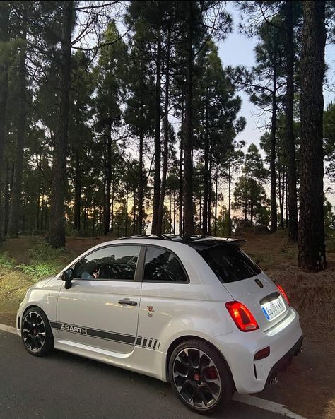 Fiat Abarth 500, Fiat 500 Abarth, Abarth 595, Fiat 500c, 500 Abarth, Fiat 600, Fiat Abarth, Car Goals, Italian Cars