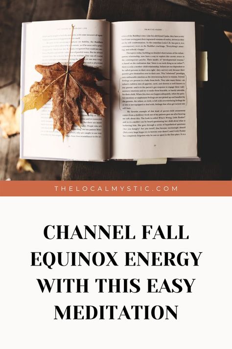 Equinox Aesthetic, Mabon Ritual, Mabon Celebration, Meditation Scripts, Gratitude Practice, Easy Meditation, March 20th, Practice Gratitude, Yoga Retreat