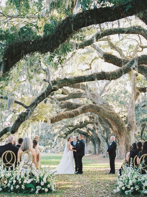 Jamie Vinson Charleston Elopement, Winter Wedding Destinations, Elopement Venues, Boone Hall, Destination Bride, Rocky Mountain Wedding, Wedding Site, Space Wedding, Charleston Wedding