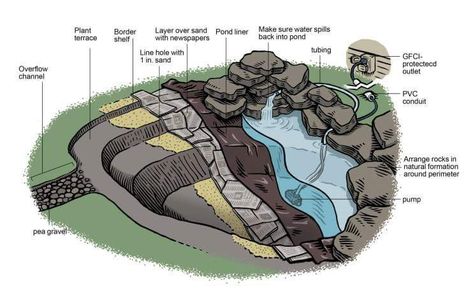 Coy Pond, Building A Pond, Natural Swimming Ponds, Backyard Pond, Garden Pond Design, Turtle Pond, Diy Pond, Pond Waterfall, Pond Liner