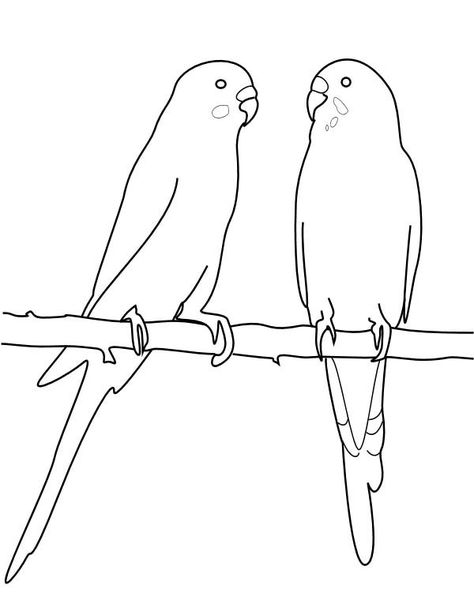 Two Parakeet Mating Coloring Page : Coloring Sun Mural Leaves, Parakeet Colors, Pets Coloring Pages, Owl Coloring, Bird Coloring, Art Through The Ages, Sorting Games, Coloring Page Printable, Bird Coloring Pages