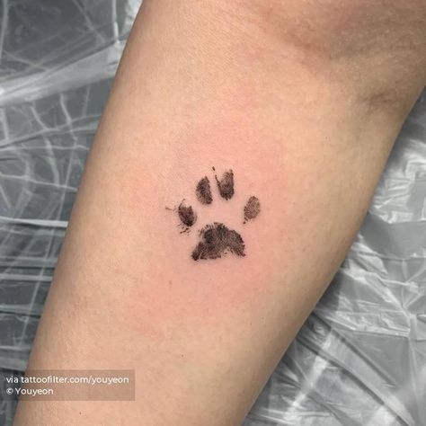 Forearm Paw Print Tattoo, Cat Tattoo Paw Print, Paw Tattoo Cat, Cat Paw Print Tattoo Ideas, Cat Nose Print Tattoo, Cat Pawprint Tattoo, Cat Tattoo Paw, Pawprint Tattoo Cat, Memorial Cat Tattoos