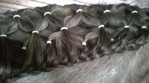 Diamond / Waffle braid & Running braid cross over! Wow Mane Braids, Horse Braids, Horse Mane Braids, Horse Hair Braiding, Horse Braiding, Tail Braids, Horse Mane, Horse Costumes, Horse Tail