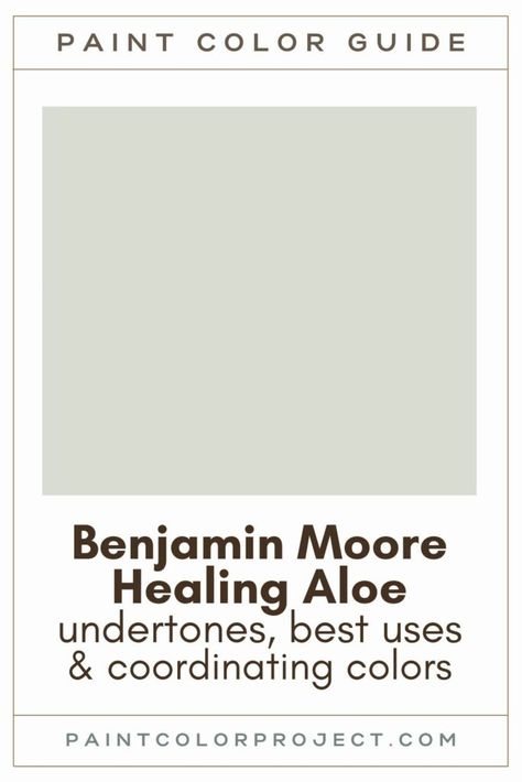 Looking for the perfect light blue paint color for your home? Let’s talk about Benjamin Moore Healing Aloe and if it might be right for your home! Benjamin Moore Healing Aloe Bedroom, Healing Aloe Benjamin Moore Living Room, Healing Aloe Paint Color, Sweet Celadon Benjamin Moore, Healing Aloe Benjamin Moore Bathroom, Benjamin Moore Light Sage Green, Pale Green Benjamin Moore, Light Green Paint Colors Bedrooms, Benjamin Moore Light Green