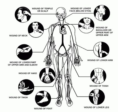 Pressure Point Fighting "Reality-Based Self-Defense You Can Trust" Contemporary Fighting Arts Pressure Points Self Defense, Human Pressure Points, Pressure Points Chart, Damsel In Defense, Close Protection, Self Defence Training, Survival Books, Self Defense Women, Self Defense Martial Arts