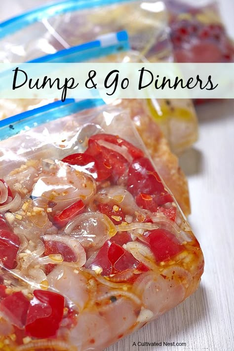 Easy and delicious dump chicken recipes for an easy weeknight freezer meal. Dump & Go Dinners! Dump Chicken Recipes, Dump Chicken, Resep Makanan Beku, Dump Recipes, Crockpot Freezer Meals, Make Ahead Freezer Meals, Freezer Food, Freezer Recipes, Easy Freezer Meals