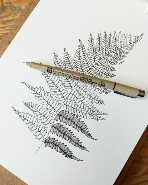 Fern Drawing Tattoo, Watercolour Fern Leaf, Bracken Fern Drawing, Easy Fern Drawing, Fern Art Drawing, Fern Pen Drawing, Fern Tattoo Drawing, Fern Leaves Drawing, Fern Tattoo Linework