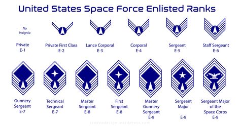 United States Space Force – stadeo design Us Space Force, Military Style Watches, Camo Phone Cases, Military Shoes, Military Logo, Military Ranks, Space Force, Us Veterans, Military Cap