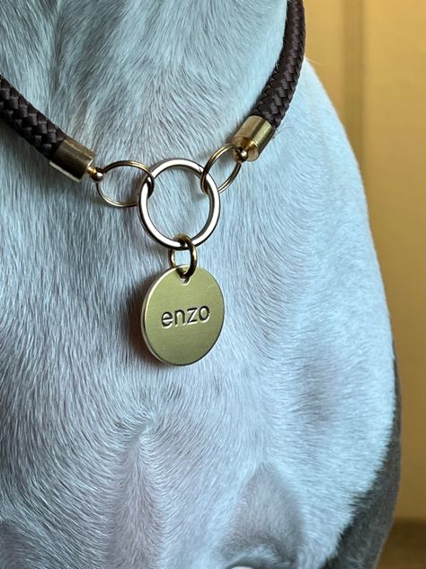 Deeply engraved round dog tag for dogs and cats with your info on front and back. Cat Decor Bedroom, Snap Photos, Dog Collar With Name, Dog Essentials, Modern Pet, Dog Necklace, Metal Tags, Dog Id Tags, Id Tags