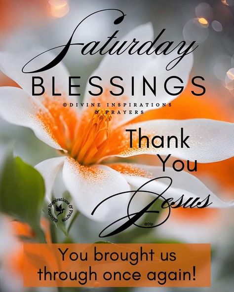 Happy Saturday Blessings Weekend Quotes, Have A Blessed Saturday, Divine Inspiration And Prayers, Blessed Saturday, Jesus 2024, Saturday Greetings, Saturday Blessings, Sunday Morning Quotes, God Blessings