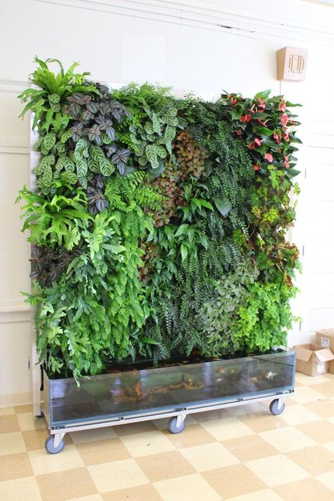 Vertikal Garden, Vertical Garden Indoor, Vertical Garden Design, Vertical Vegetable Garden, نباتات منزلية, Vertical Garden Wall, Plants Growing, Walled Garden, Have Inspiration