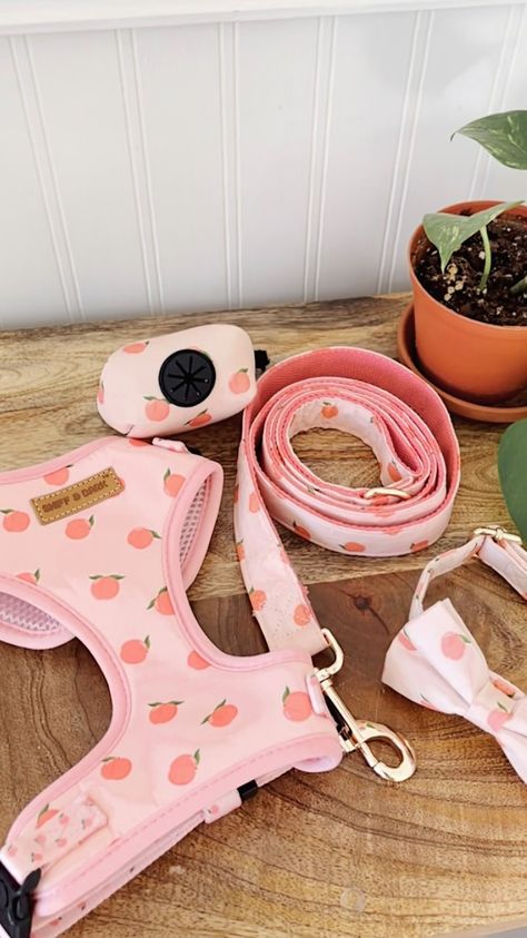 Cute Dog Harness, Puppy List, Preppy Dog, Puppy Leash, Dog Corner, Puppy Mom, Puppy Accessories, Dog Walking Bag, Pet Corner