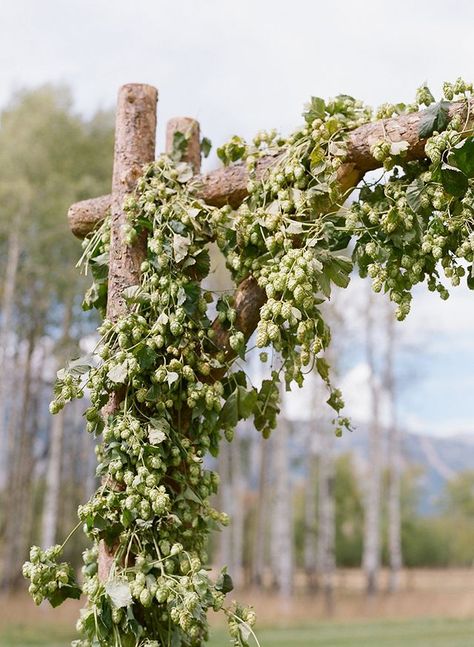 Rustic Wedding at Snake River Ranch in Jackson Hole :: Callie & Eric | Snippet & Ink | Bloglovin’ Hops Wedding, Craft Beer Wedding, Hop Flower, Jackson Hole Wedding, Beer Wedding, Brewery Wedding, Church Wedding Decorations, Top Photographers, Martha Stewart Weddings