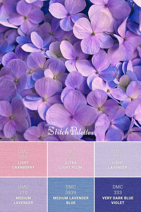 Violet Blossom: Embroidery Thread Palette SPA0596. Floss color inspiration for cross stitch and embroidery projects. Thread colors used: DMC 604: Light Cranberry / DMC 3609: Ultra Light Plum / DMC 211: Light Lavender / DMC 210: Medium Lavender / DMC 3839: Medium Lavender Blue / DMC 333: Very Dark Blue Violet.