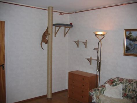 Full Size Cat Scratching / Climbing Post : 7 Steps - Instructables Diy Floor To Ceiling Cat Post, Floor To Ceiling Cat Pole Diy, Floor To Ceiling Cat Pole, Diy Cat Climbing Pole, Kitty Health, Cat Pillar, Kitty Furniture, Cat Inspiration, Diy Cat Tree