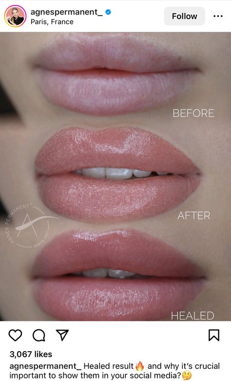 Lip Blushing Tattoo Colors Mauve, Natural Lip Blushing, Natural Lip Blushing Tattoo Colors, Permanent Lipstick Tattoo Lip Colors, Lipblush Before And After, Lipblush Tattoo, Lip Blushing Tattoo Colors, Lip Blushing Tattoo Before And After, Permanent Makeup Lips