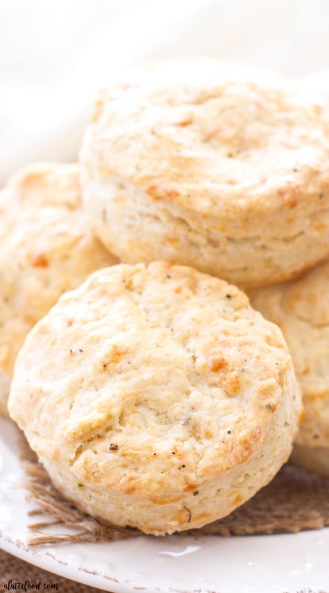 Pepper Jack Cheese and Herb Biscuits Rosemary Biscuits Recipe, Herb Biscuits Recipe, Test Kitchen Recipes, Rosemary Biscuits, Herb Biscuits, Best Biscuit Recipe, Southern Buttermilk Biscuits, Easy Homemade Biscuits, Savory Bread Recipe