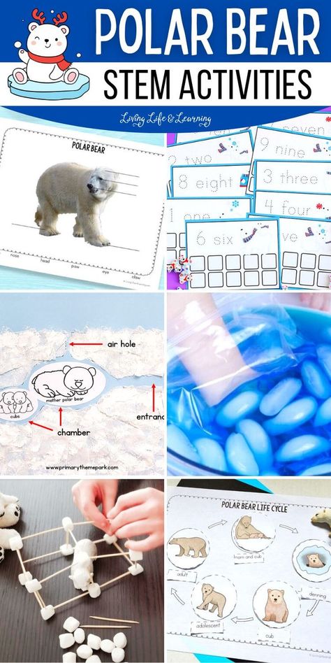 Polar Bear STEM Activities Bear Stem Activities, Polar Bear Craft Preschool, Polar Bears Preschool, Bear Crafts Preschool, Polar Bear Unit, Polar Bears Activities, Bears Preschool, Winter Stem Activities, Homeschool 1st Grade