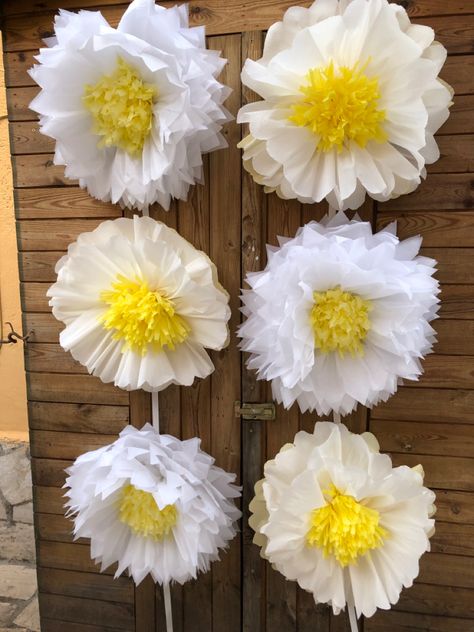 Big daisies made with both crepe and tissue paper #tissuepaperflower #crepepaperflower #diydecor Daisy Crepe Paper Flowers, Paper Big Flowers, Paper Flower Decorations, Paper Daisy, Flower Decorations Diy, Paper Flower Decor, Crepe Paper Flowers, Big Flowers, Crepe Paper