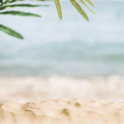 Blurred beach background Free Photo | Free Photo #Freepik #photo #freebackground #freetree #freewater #freesummer Background Tree, Photos Bff, Exotic Beaches, Beach Background, Postcard Template, Summer Backgrounds, Poster Background Design, Background Photo, Photos Hd