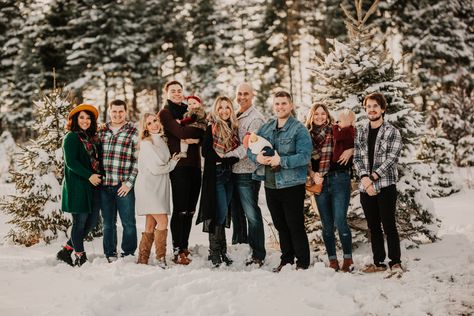 Large Family Photo Outfits Winter, Big Family Christmas Pictures, Large Family Christmas Pictures, Tree Farm Family Photos Outfit, Big Family Christmas, Christmas Tree Farm Pictures, Tree Farm Pictures, Football Senior Pictures, Family Photo Outfits Winter