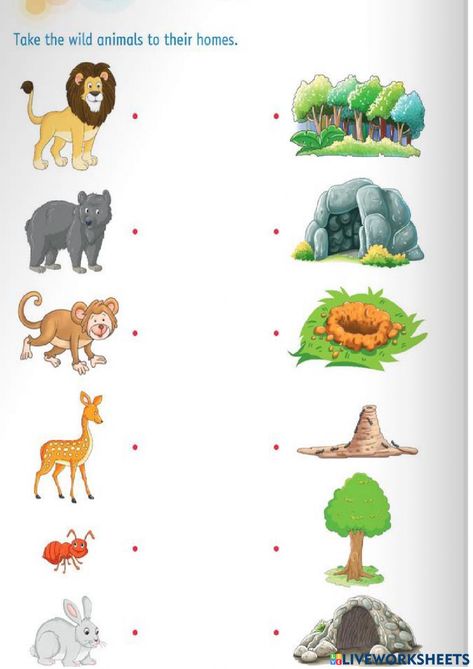 Domestic And Wild Animals Worksheets, Wild Animals Worksheets For Kids, Animals And Their Homes, Farm Day, Animal Worksheets, Animal Habitats, Biome, Wildlife Animals, Animal House