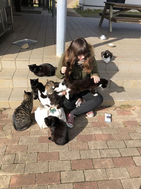 Tashirojima Island in Japan. Known as Cat Island. My wife is in heaven Cat Island Japan Aesthetic, Crazy Cat Lady Aesthetic, Person Petting Cat, Cat Lady Aesthetic, Cat Island Japan, Cat In Japan, Cats In Japan, Traveling With Cats, Cats Japan