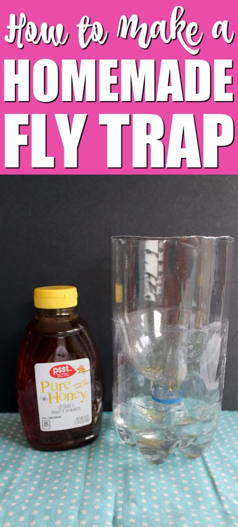 Turn an old plastic bottle into a homemade fly trap in minutes! This easy project will eliminate the flies from your home this summer! #summer #flies #flytrap #flyrepellent #pests Homemade Fly Traps Indoor, Natural Fly Trap, How To Repel Flies, House Fly Traps, Fly Repellant Diy, Flies Trap Diy, Homemade Fly Traps, Natural Fly Repellant, Fruit Fly Trap Diy