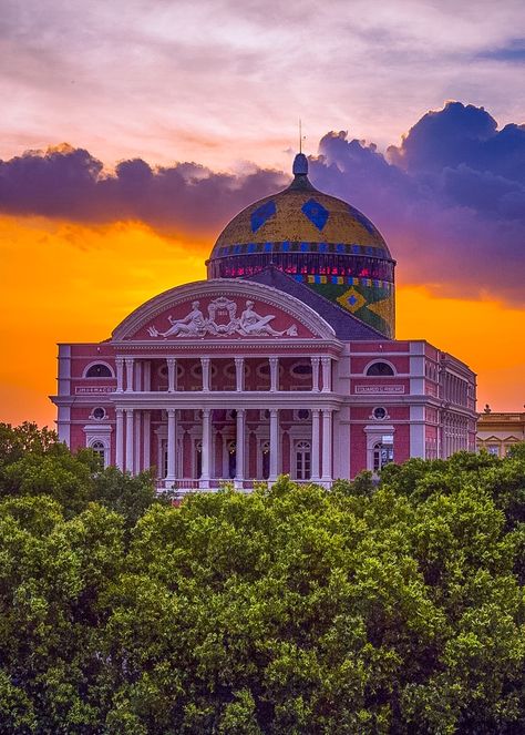 Amazon Theatre in Manaus, the gateway to the Amazon. A beautiful 19th century construction from the days of the rubber barons in the Amazon Brazil Amazon, Teaching Theatre, Manaus Am, Mango Avocado Salsa, Rio Carnival, European Castles, Brazil Travel, Traveling The World, Cruise Port