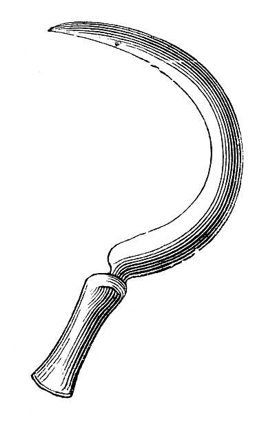 Flail Tattoo Drawing, Sickle Reference, Sickle Drawing, Sickle Tattoo, Medieval Flail Drawing, Medieval Flail Traditional Tattoo, Sickle Fantasy Art, Medieval Scythe, Inktober 2024