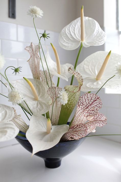 Anthuriums: Rethinking a Hotel Lobby Flower: Gardenista Anthurium Arrangement, Hotel Flower Arrangements, Arreglos Ikebana, Modern Floral Arrangements, Hotel Flowers, Anthurium Flower, Corporate Flowers, Modern Flower Arrangements, Deco Floral