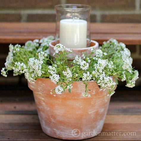 Porch Candles, Flower Pot Centerpiece, Container Gardening Flowers, Diy Flower Pots, Front Patio, Backyard Retreat, Diy Centerpieces, Diy Planters, Diy Backyard