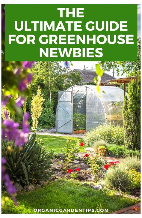 What Can You Grow In A Greenhouse For Beginners #greenhouse #gardening #flowers #greenhousegardeningflowers It may seem intimidating, but even as beginners, you can grow almost any vegetable you want inside your greenhouse. Some plants will thrive more than others Greenhouse Vegetables, Best Greenhouse, Winter Greenhouse, Hobby Greenhouse, Outdoor Greenhouse, Large Greenhouse, Green Houses, Greenhouse Plants, Greenhouse Growing