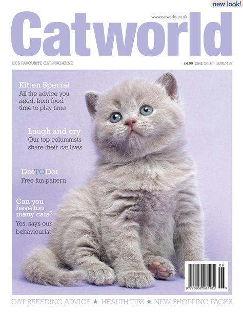 Issue 459 - New look kitten special! Cat Magazine Layout, Cat Magazine Cover, Pet Magazine Cover, Animal Magazine Cover, Magazine Page Design, Anchor Wallpaper, Pet Magazine, Animal Magazines, Magazine Cover Ideas