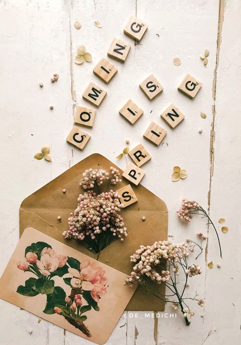 Dried flowers in an envelope. The inscription spring is coming Spring Flatlay, Flatlay Photography, Diy Envelope, Flat Lay Photography, Spring Is Coming, Spring Aesthetic, Spring 2023, Spring Flowers, Dried Flowers