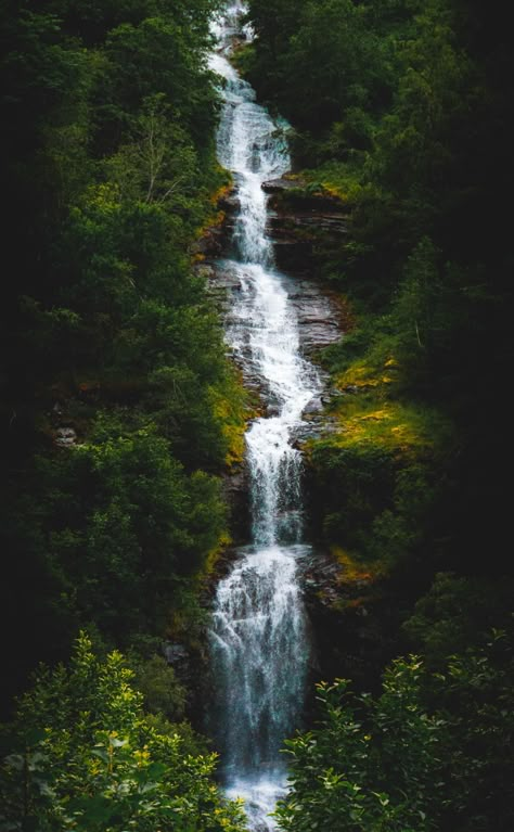 Waterfall Forest, Waterfall Photos, Forest Waterfall, Waterfall Pictures, Waterfall Photo, Waterfall Landscape, Waterfall Photography, Small Waterfall, Water Element