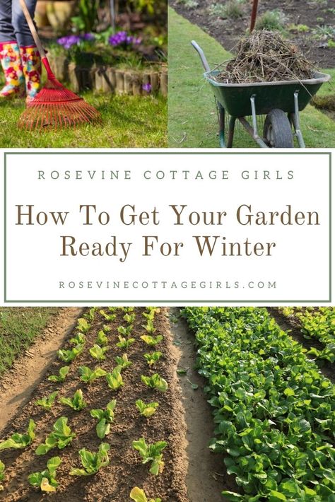 Preserving Herbs, Rose Vines, Harvest Season, Seasonal Garden, Diy Garden Projects, Garden Boxes, Garden Care, Hobby Farms, Raised Garden Beds