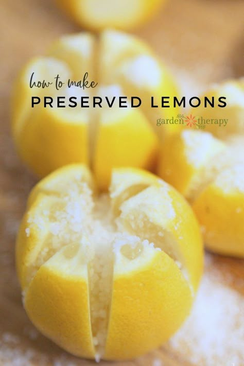 Preserved Lemons Recipes, Steam Fish, Moroccan Cooking, Garden Therapy, Preserved Lemons, Ras El Hanout, Eastern Cuisine, Moroccan Food, Sauteed Vegetables