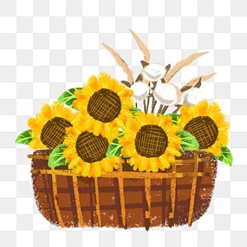 Crayon Clipart, Basket Clipart, Brown Basket, Sunflower Png, Yellow Flower, Flower Basket, Picnic Basket, Clipart Images, Png Clipart